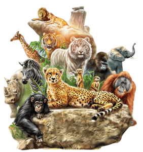 Jim Corbett