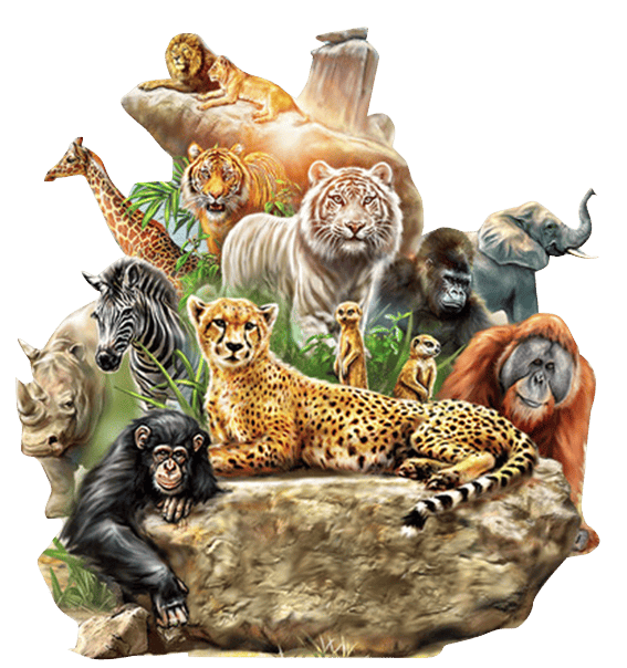 Jim Corbett